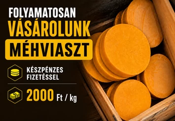 Folyamatosan vásárolunk viaszt 2000 Ft/kg áron.